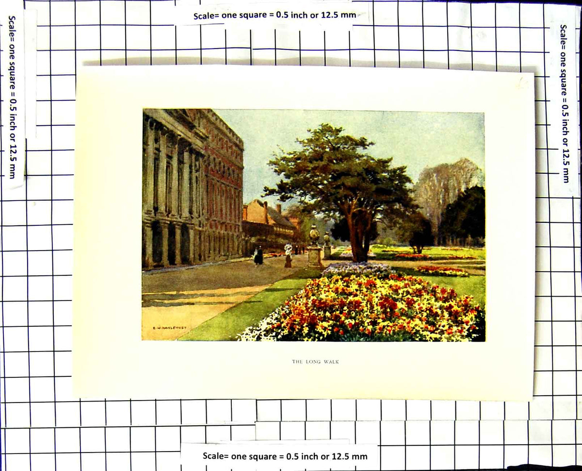 Original Old Vintage Print C1850-C1930 Colour View The Long Walk Haslehust 19th