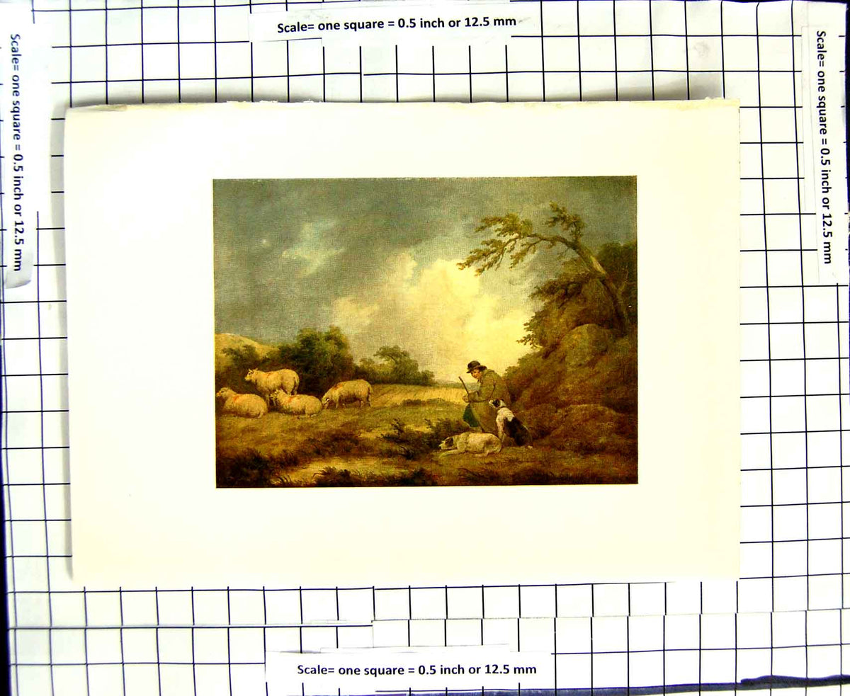 Original Old Antique Print C1907 Colour Plate Morland Farming Boy Tending Sheep