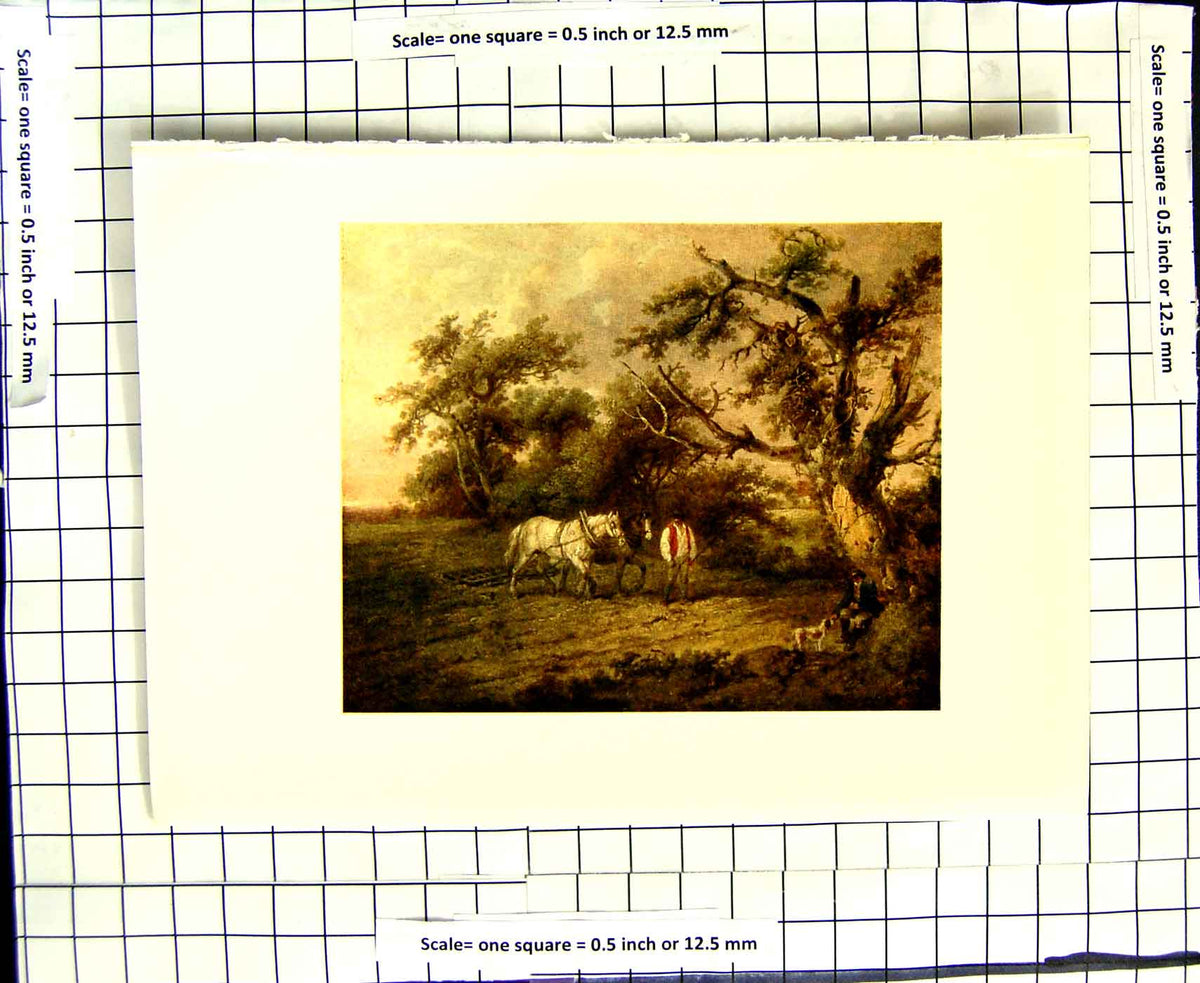Original Old Antique Print C1907 Colour Plate Morland Harrowing Horse Farming