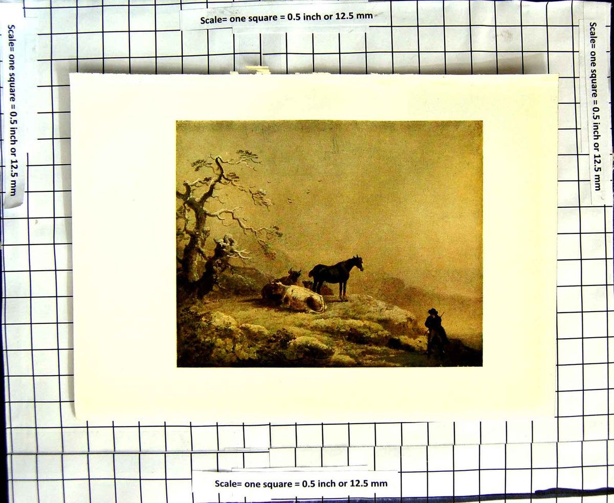 Old Antique Print C1907 Colour Plate Morland Winter Scene Cattle Animals 20th