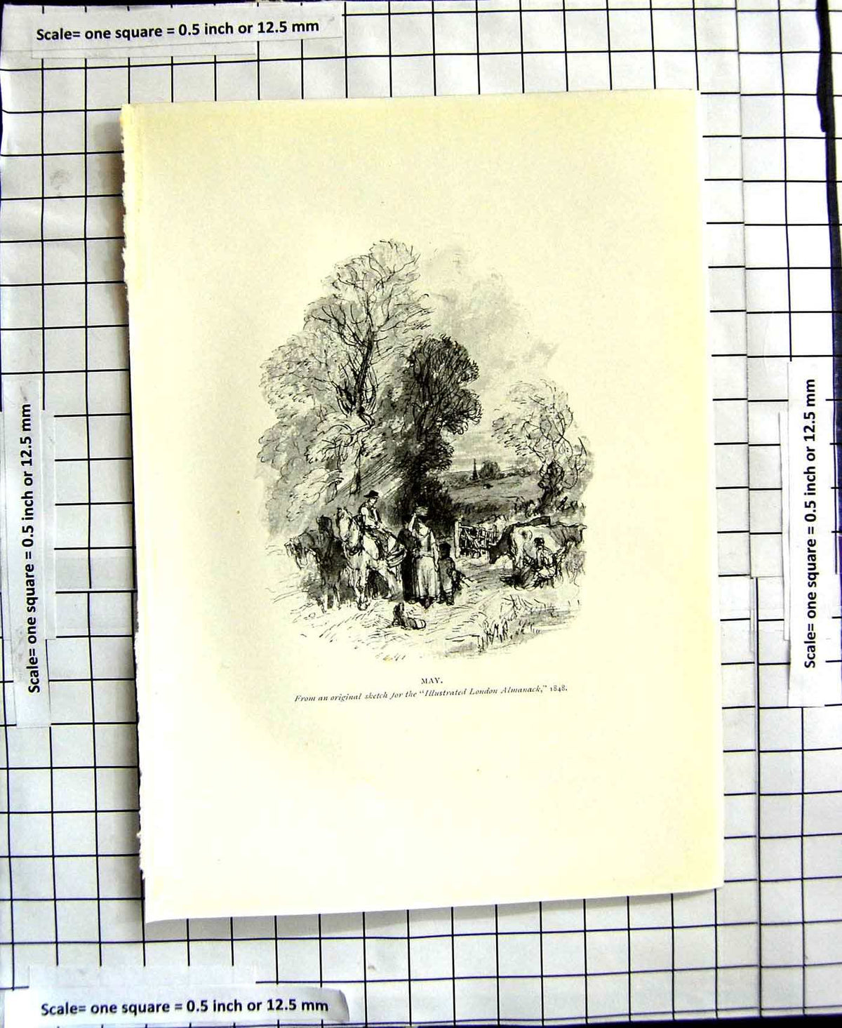 Old Antique Print C1906 Birket Foster Black White Plate May Horses Cattle 20th
