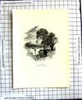 Old Antique Print C1906 Birket Foster Plate Sketch Landscape River Cattle 20th
