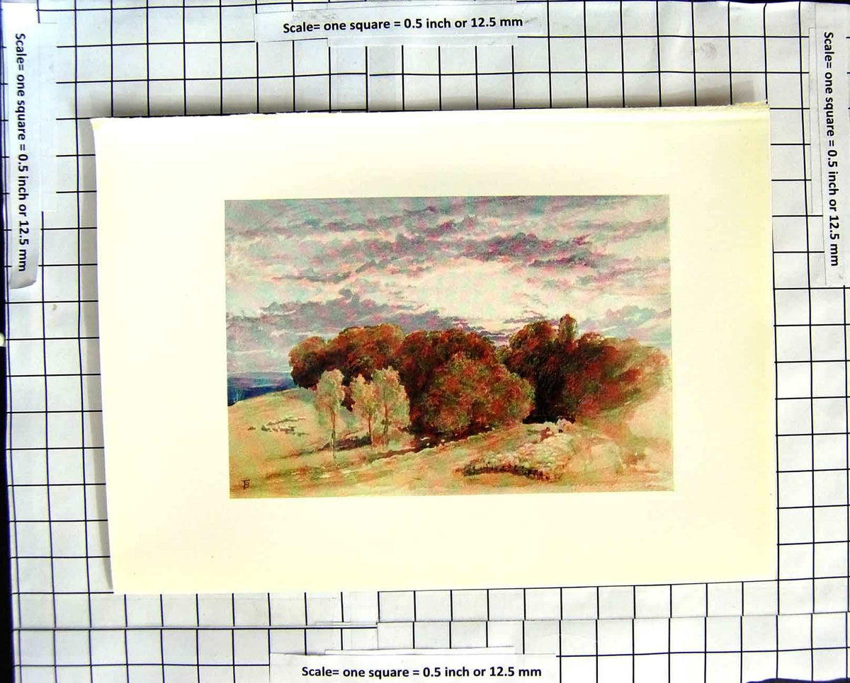 Original Old Antique Print C1907 Colour Plate Morland View Arundel Park Trees