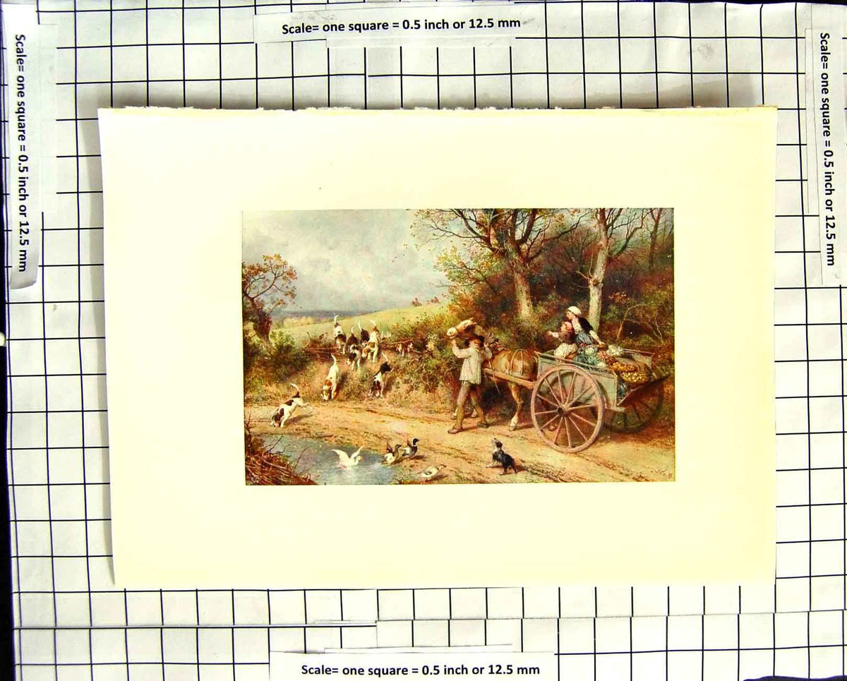Original Old Antique Print C1907 Colour Plate Morland Hunting Dogs Horse Cart