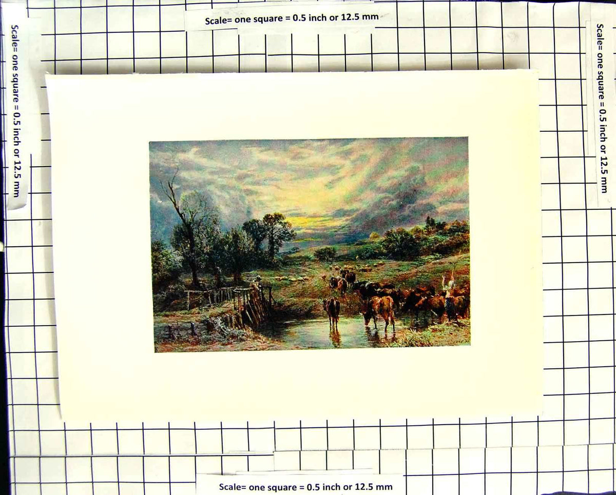 Original Old Antique Print C1907 Colour Plate Morland Sunset Scene Cattle River