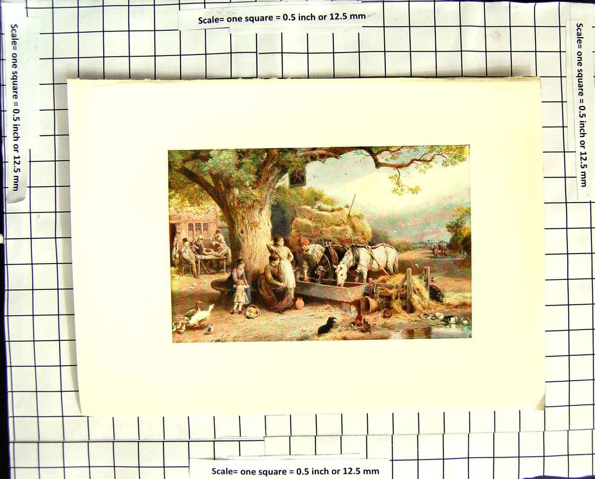 Original Old Antique Print C1907 Colour Plate Morland Village Inn Horses Birds
