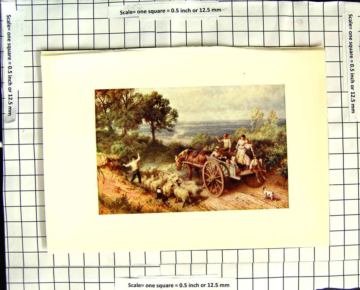 Original Old Antique Print C1907 Colour Plate Morland Farming Sheep Flock Horse