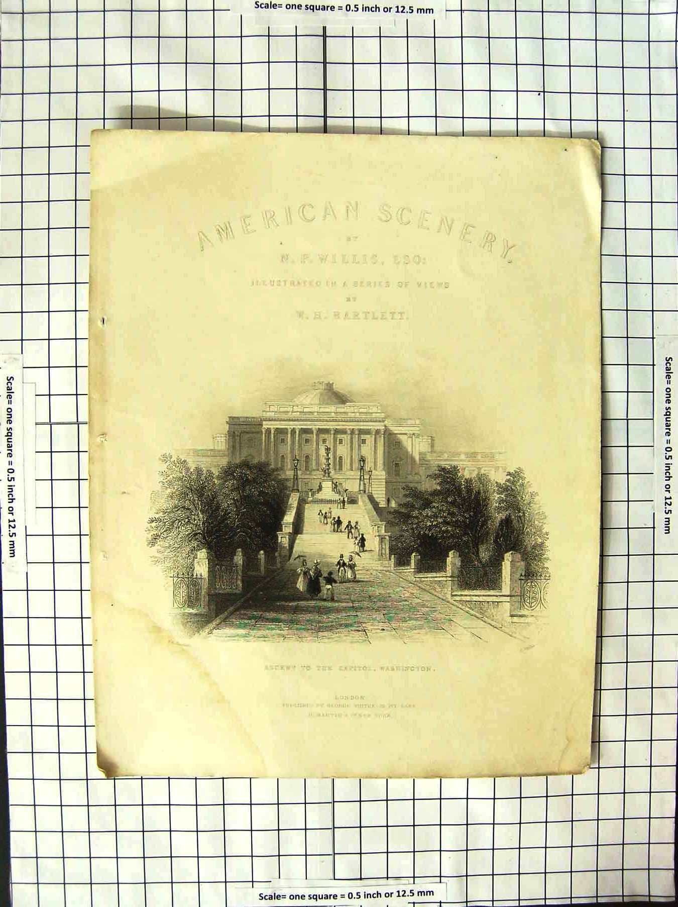 Original Old Antique Print America Bartlett View Capitol Washington White House