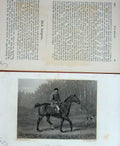 Old Antique Print Baily'S Magazine 1889 Horse Dick Simpson Hunting Sport 19th
