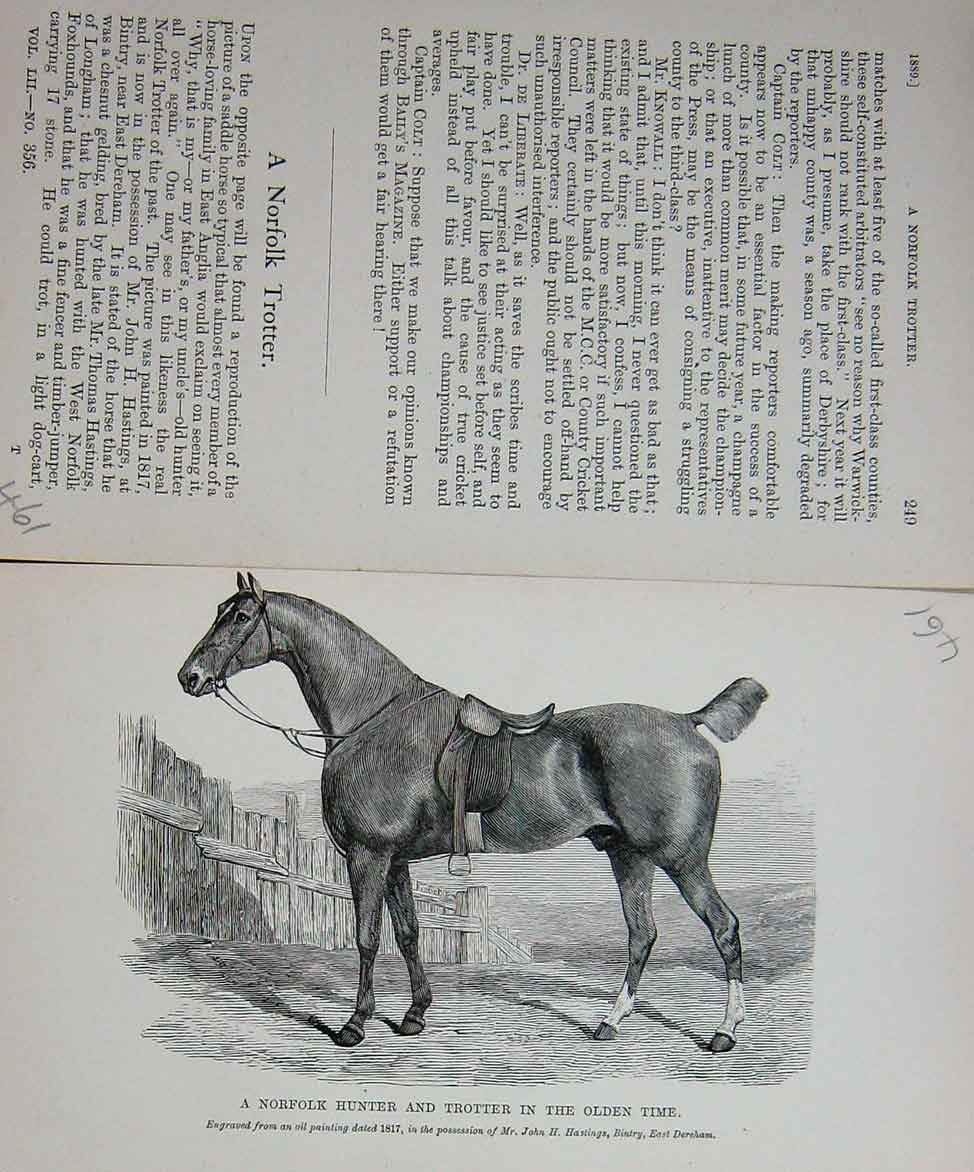 Original Old Antique Print Baily'S Magazine 1889 Horse Norfolk Hunter Trotter