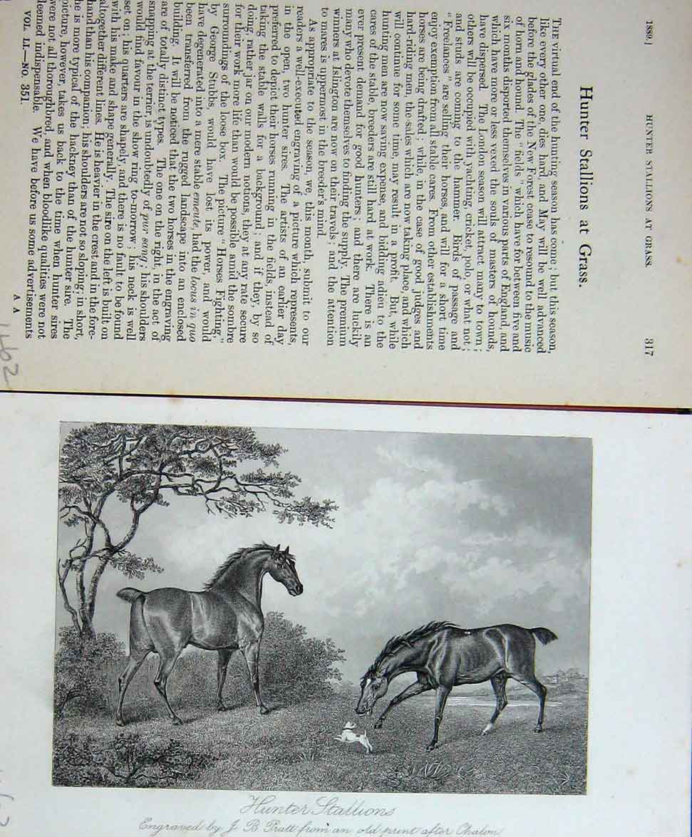 Original Old Antique Print Baily'S Magazine 1889 Horse Hunter Stallions Chalon