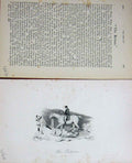 Original Old Antique Print Baily'S Magazine 1889 Horse Huntsman Hounds Hunting