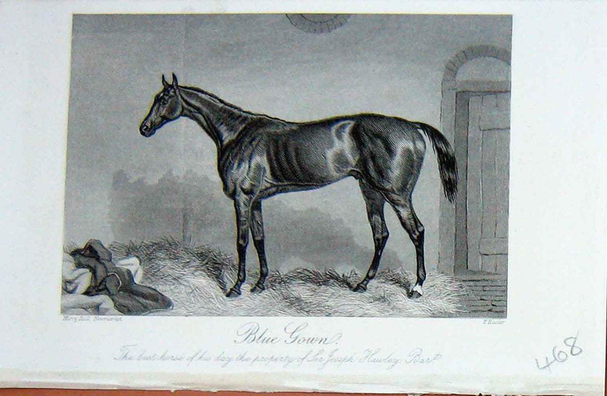 Old Antique Print 1889 Baily'S Magazine Horse Blue Gown Sir Joseph Hawley 19th