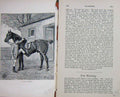 Old Antique Print Baily'S Magazine 1890 Thoroughbred Hunter Horse Sport 19th