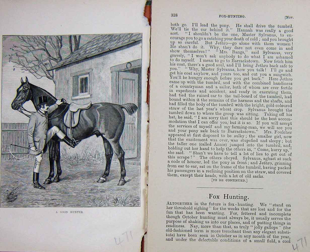 Old Antique Print Baily'S Magazine 1890 Thoroughbred Hunter Horse Sport 19th