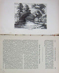 Old Antique Print Baily'S Magazine 1890 Ducks River Country Trees Hunting 19th