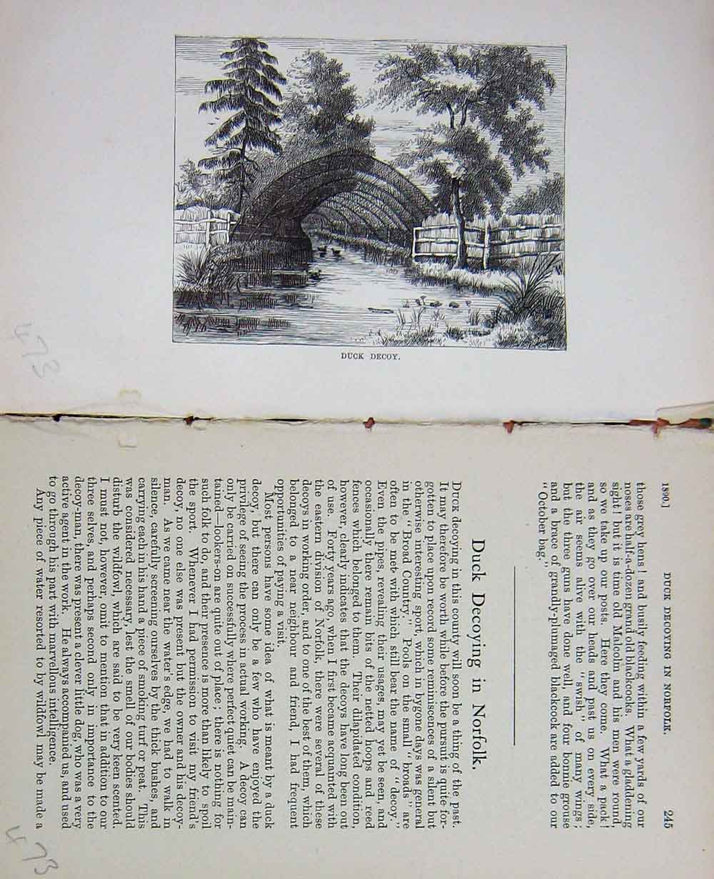 Old Antique Print Baily'S Magazine 1890 Ducks River Country Trees Hunting 19th
