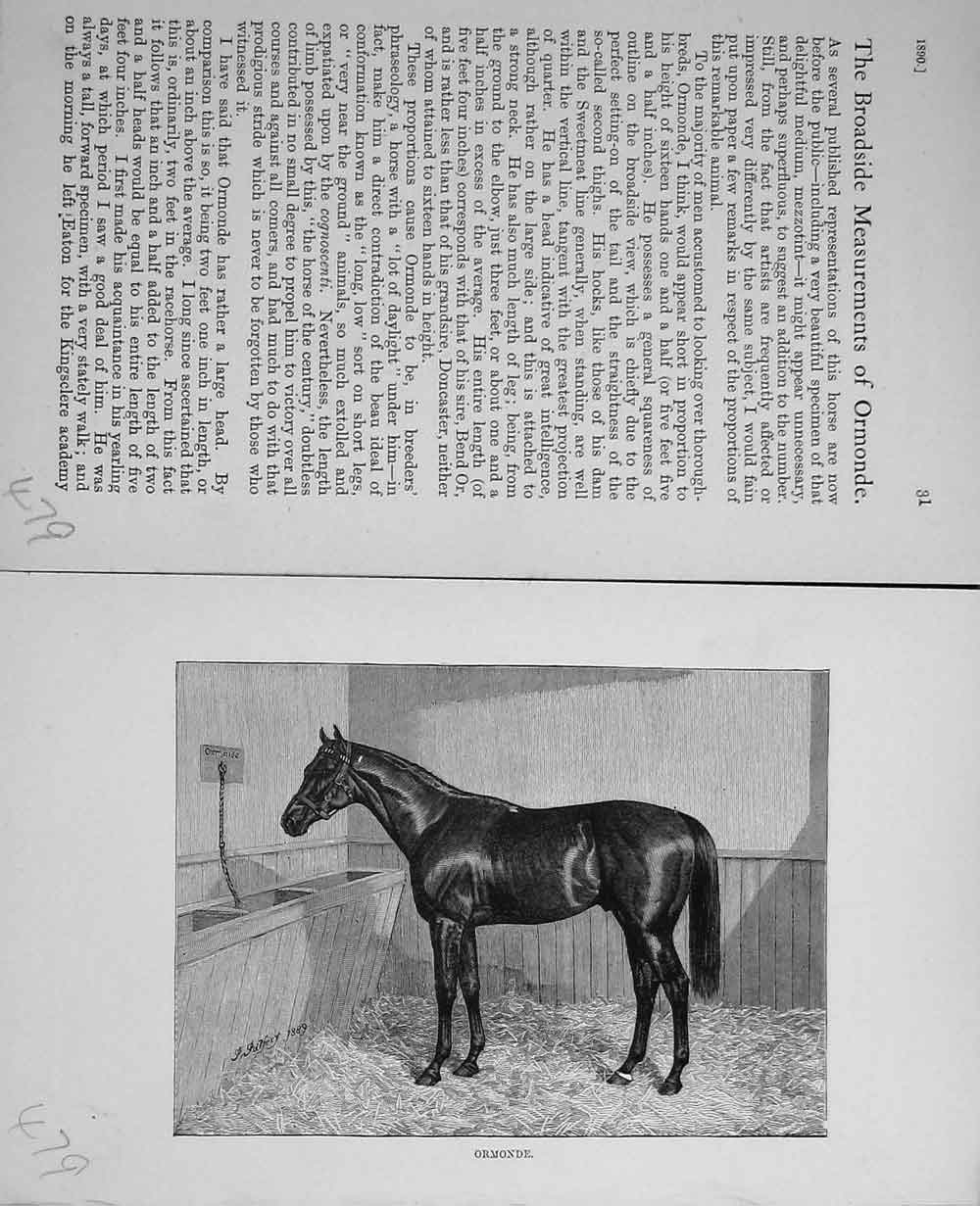 Original Old Antique Print Baily'S Magazine Sport 1890 Beautiful Horse Ormonde