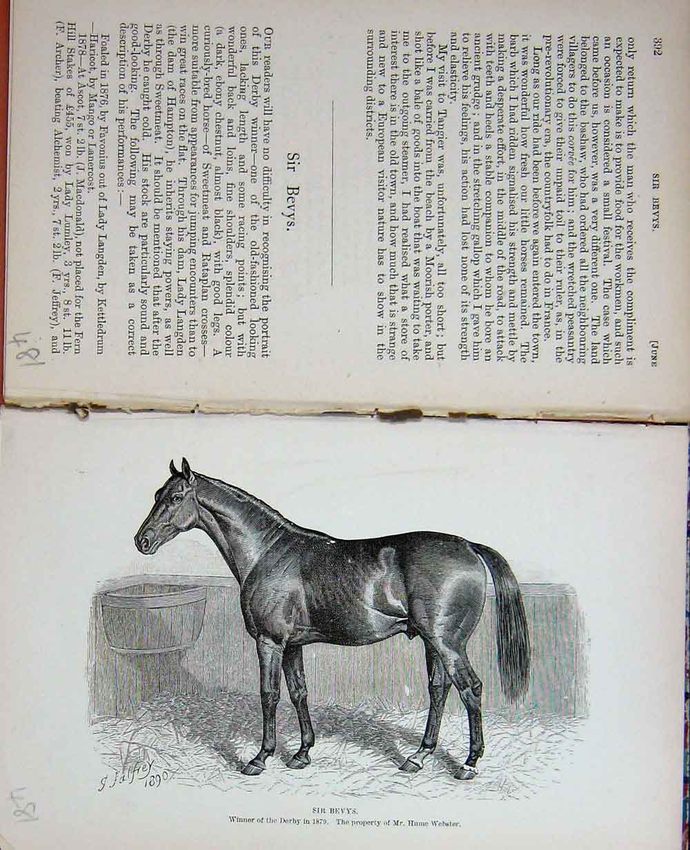 Original Old Antique Print Horse Sport Sir Bevys Derby Hume Webster Owner 1890