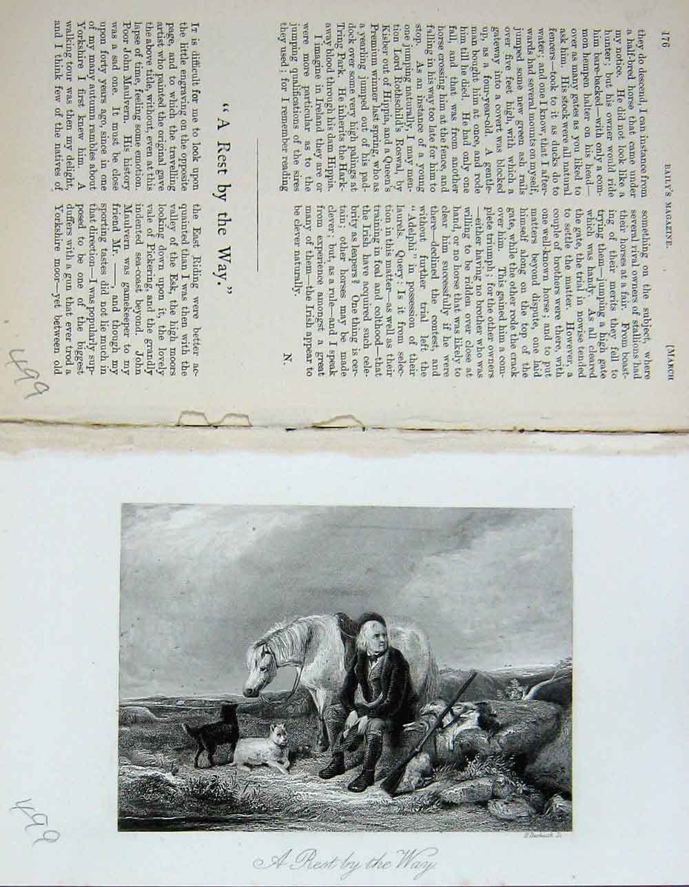 Original Old Antique Print Man Hunting Horse Dogs Country Baily'S