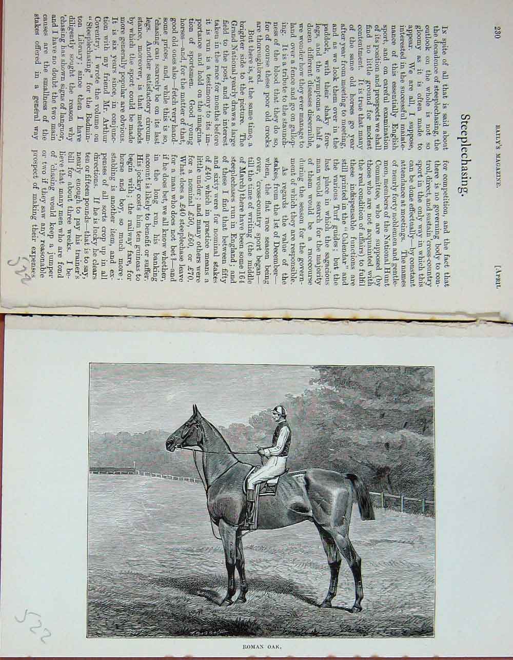 Original Old Antique Print Baily'S Magazine 1892 Steeplechasing Horse Roman Oak