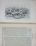 Original Old Antique Print Horses Sport Polo Ponies 1892 Baily'S Magazine 19th