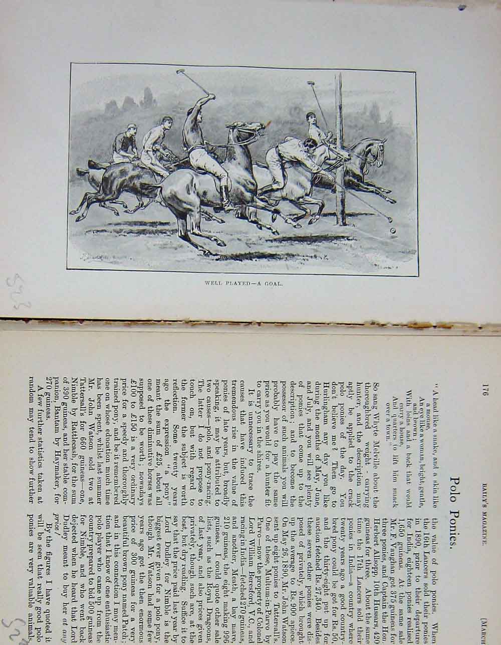 Original Old Antique Print Horses Sport Polo Ponies 1892 Baily'S Magazine 19th