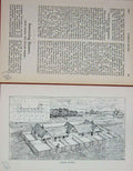 Old Antique Print Baily'S Magazine 1892 Horses Loose Boxes Sport Sketch 19th