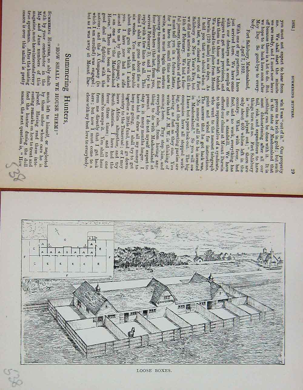 Old Antique Print Baily'S Magazine 1892 Horses Loose Boxes Sport Sketch 19th