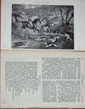 Original Old Antique Print 1895 Hunting Horse Hounds Fox Country 19th