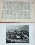 Original Old Antique Print 1895 Horses Carriage Country Baily'S 19th