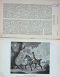 Original Old Antique Print 1895 Hack Hunter Horse Sport Country 19th