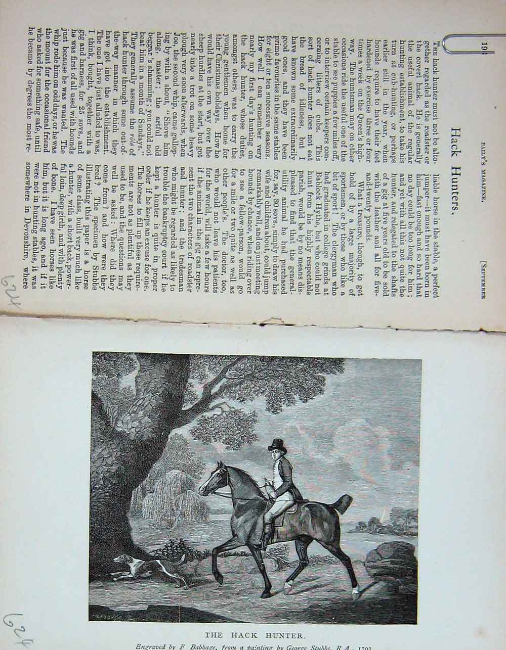 Original Old Antique Print 1895 Hack Hunter Horse Sport Country 19th