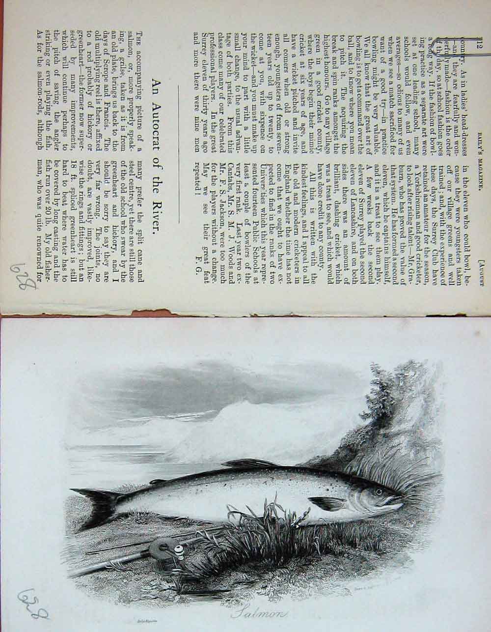 Original Old Antique Print Portrait 1895 Fish Salmon Baily'S Magazine Victorian