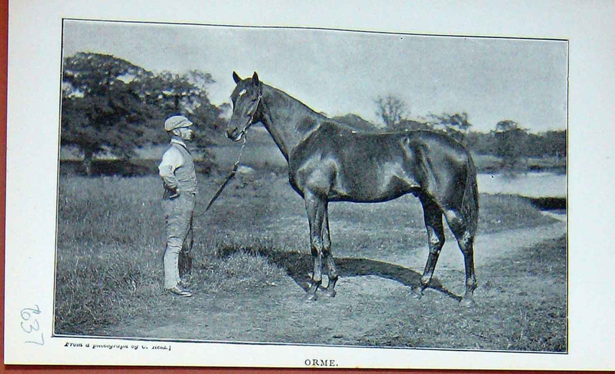Original Old Antique Print Photograph 1895 Horse Orme Man Sport Baily'S 19th