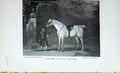 Original Old Antique Print Baily'S Magazine 1895 Hunting Horse Stable Sport Dog