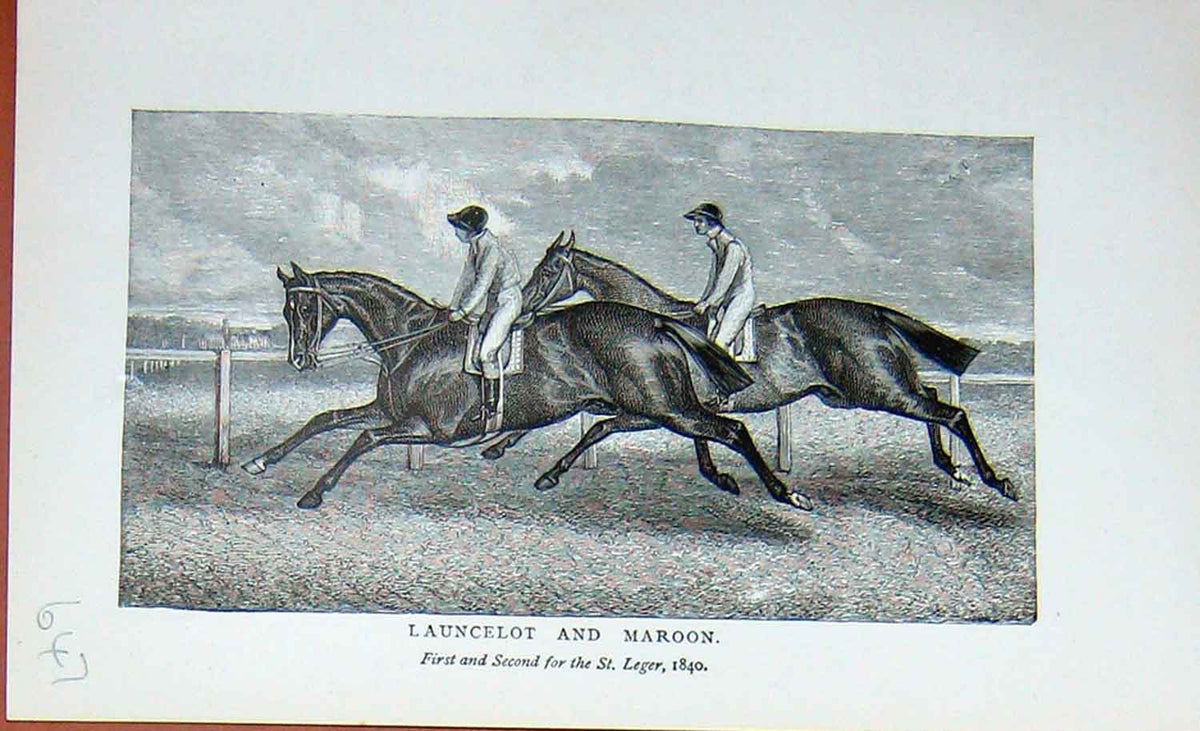 Original Old Antique Print Horse Racing Launcelot Maroon Sport Baily'S 1895
