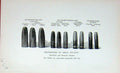 Old Antique Print Photograph Rifle Bullets Sport Metford Mannlicher 1895 19th