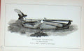 Original Old Antique Print Portrait 1895 Rifleman Shooting Sportsman Victorian