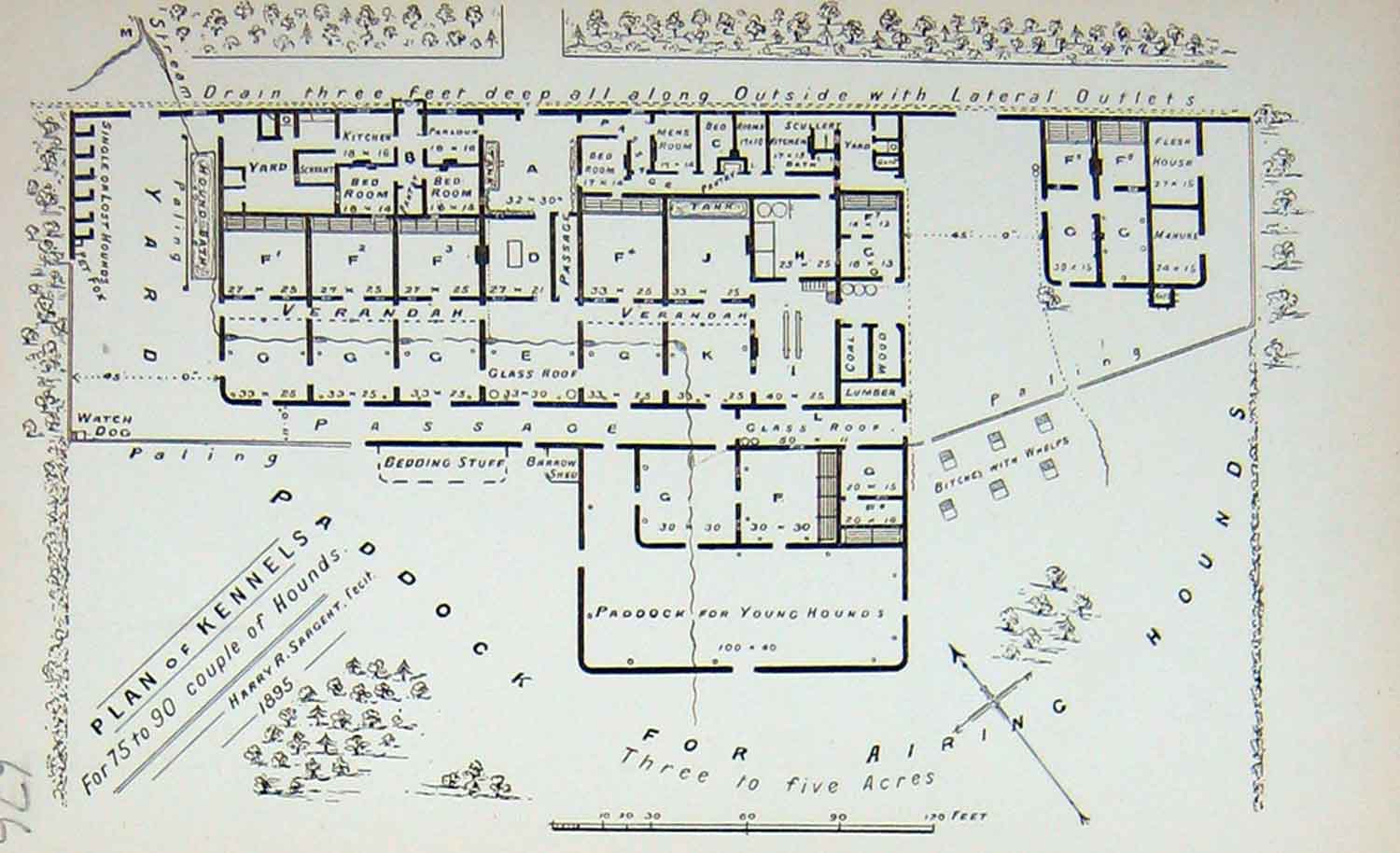 Original Old Antique Print Plan 1895 Hounds Kennels Dogs Hunting Sport 19th