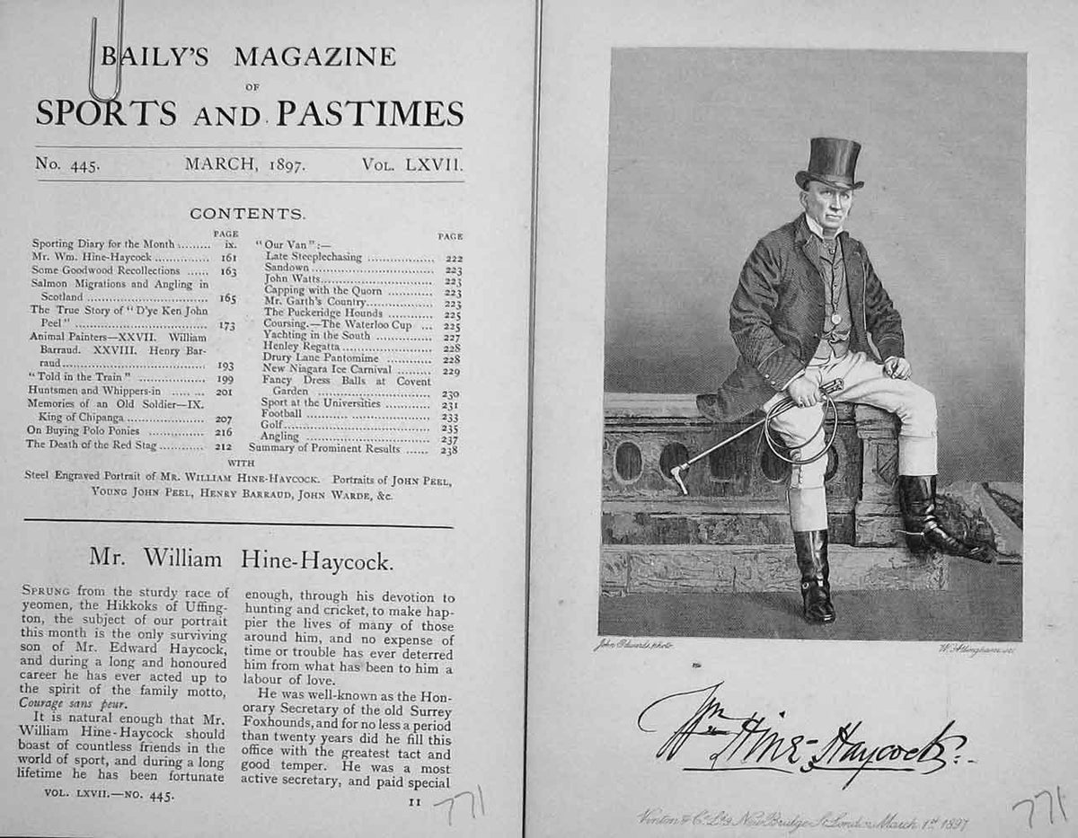 Original Old Antique Print Portrait 1897 Mr William Hine-Haycock Sportsman 19th