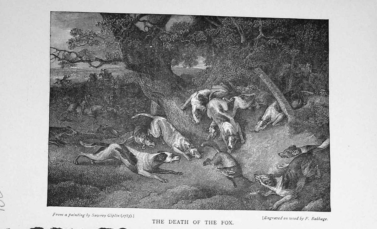 Original Old Antique Print Fox Hunting Sport Hounds Dogs Baily'S Magazine 1897