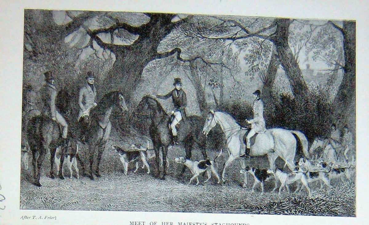 Original Old Antique Print Hunting Queen Staghounds Horses Dogs Sport 1897 19th