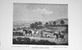 Original Old Antique Print Hare Coursing Epsom Downs Sport Horses Hunting 1897