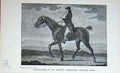 Original Old Antique Print Portraiture Bishop Trotting Mare Horse Sport 1897