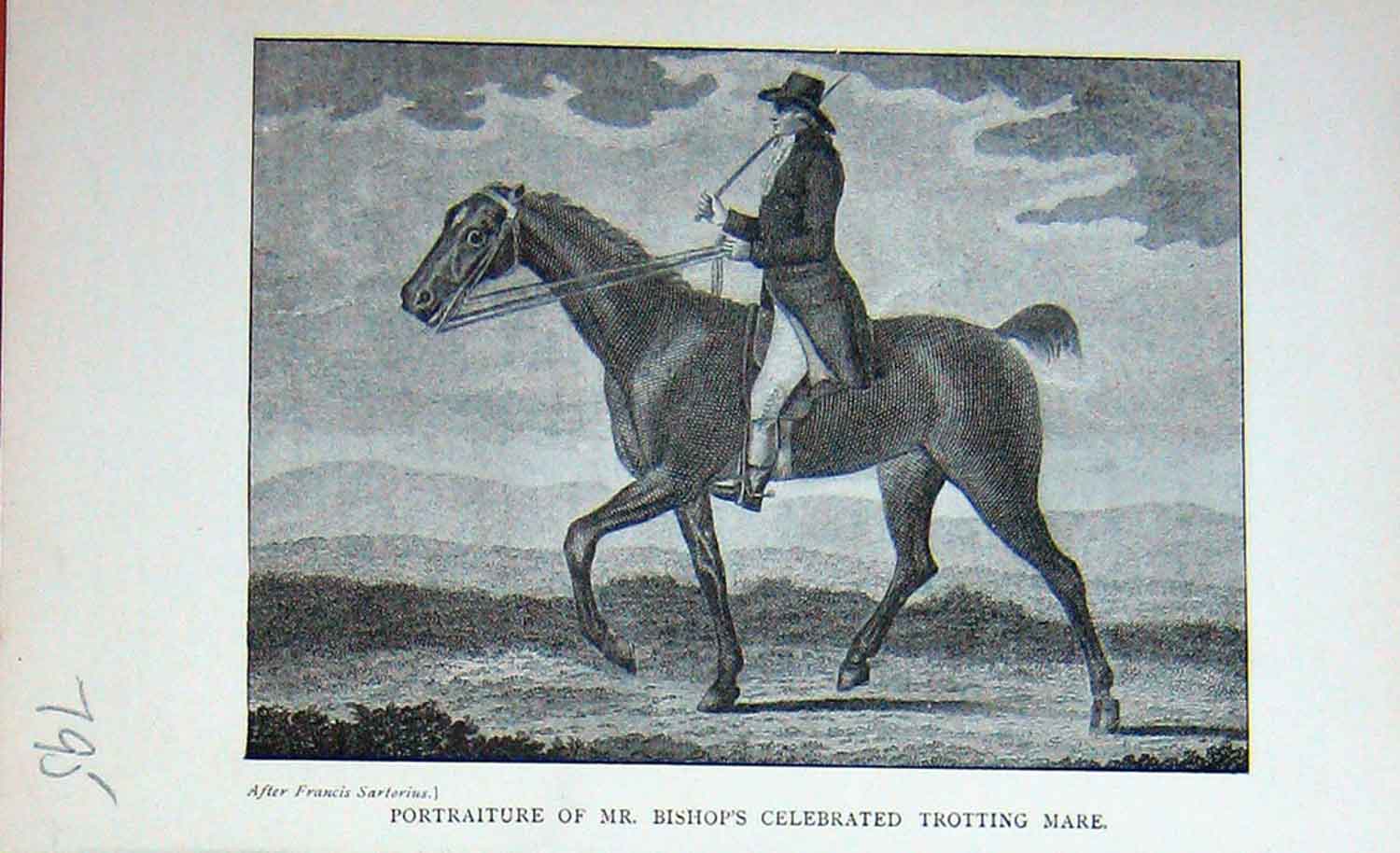 Original Old Antique Print Portraiture Bishop Trotting Mare Horse Sport 1897