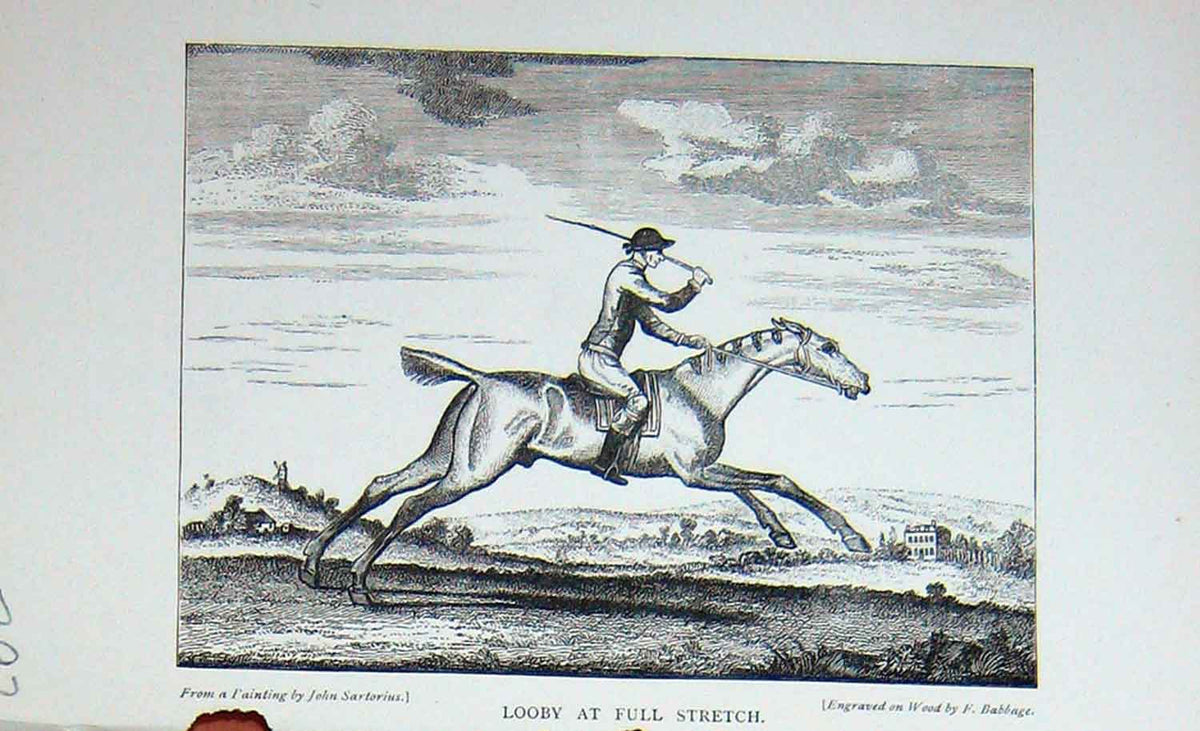 Original Old Antique Print 1897 Sport Horse Racing Looby Baily'S 19th