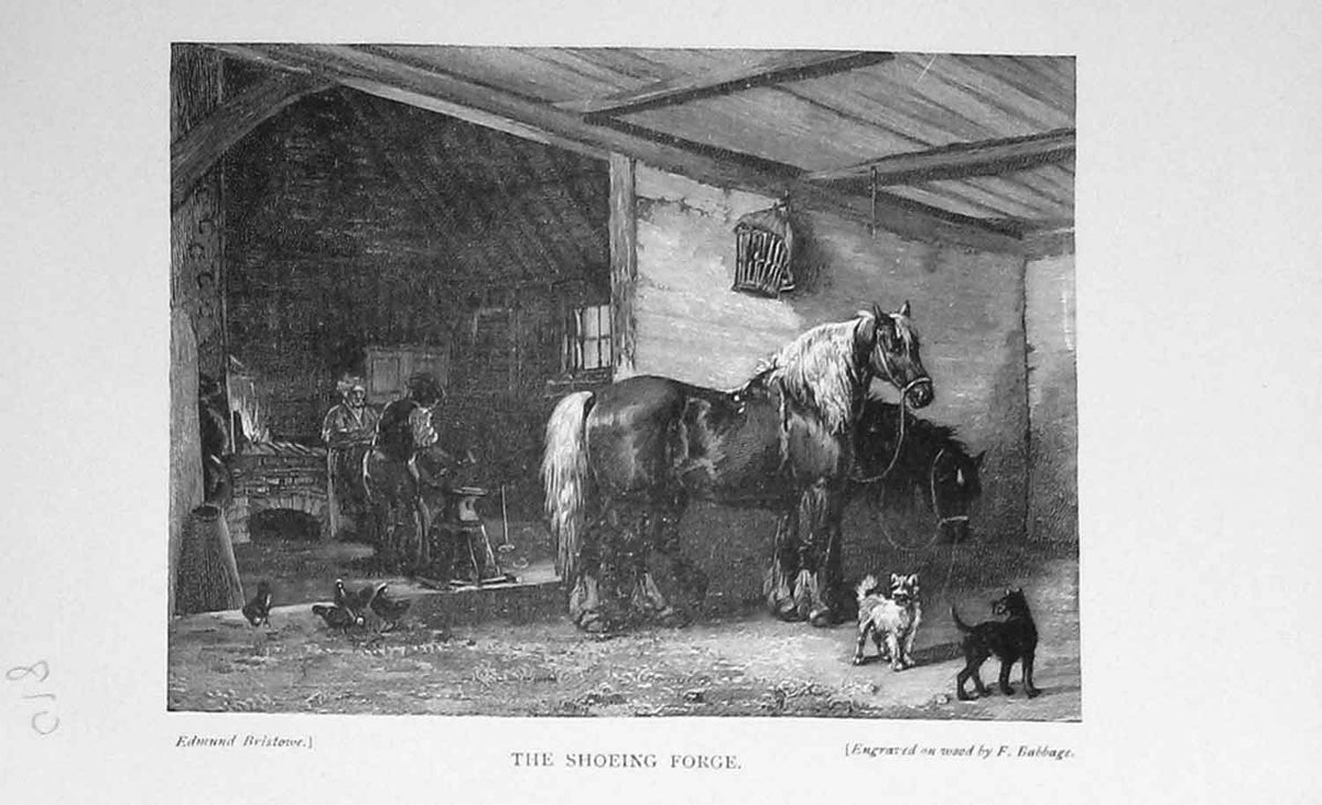 Original Old Antique Print Horses Shoeing Forge Blacksmith 1897 Dogs Chickens