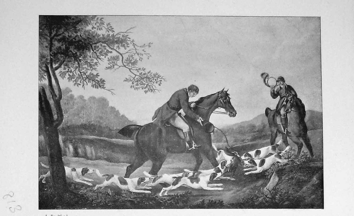 Original Old Antique Print Fox Hunting Sport Horses Hounds Dogs Country 1897