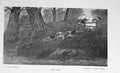 Original Old Antique Print Hare Coursing Hunting Sport Hounds Dogs Country 1897